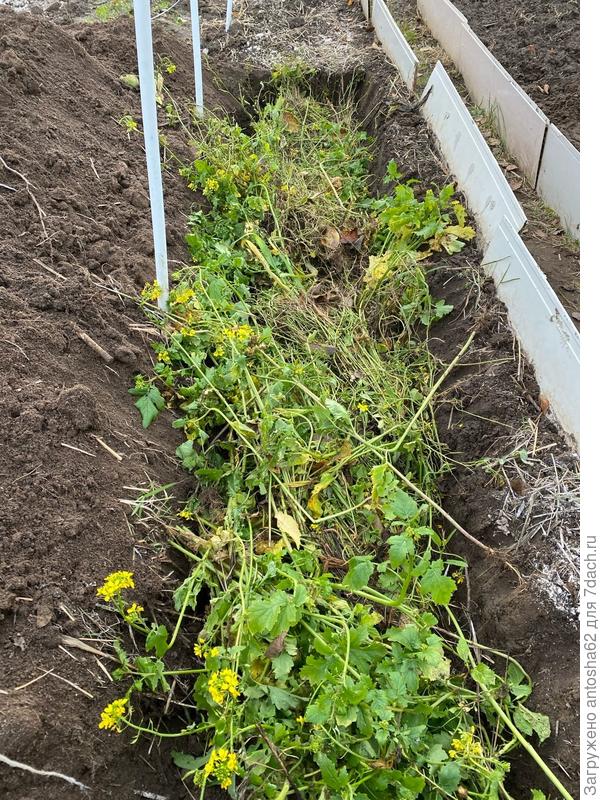 Укладываем траншею