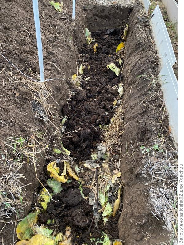 Внесение перегноя