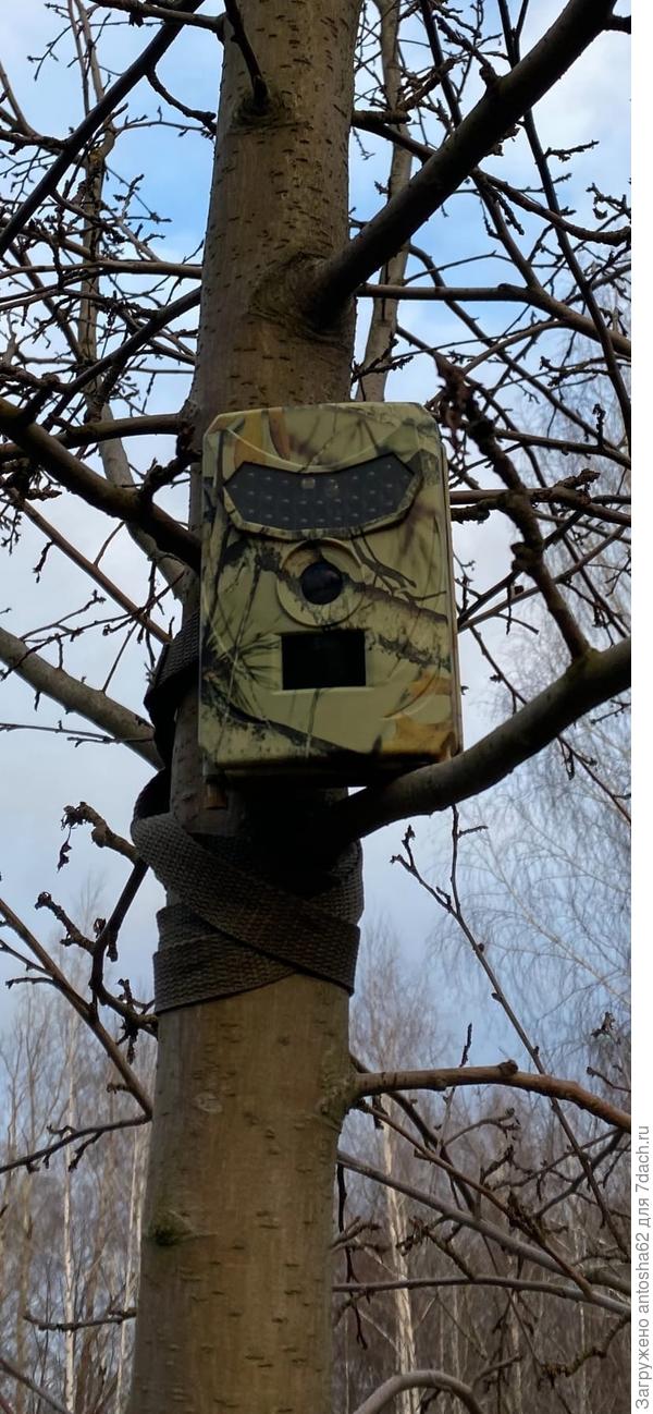 Фотофиксация