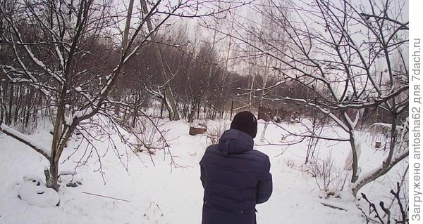 Пример фото