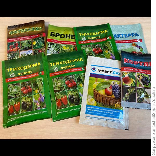 Вторая часть