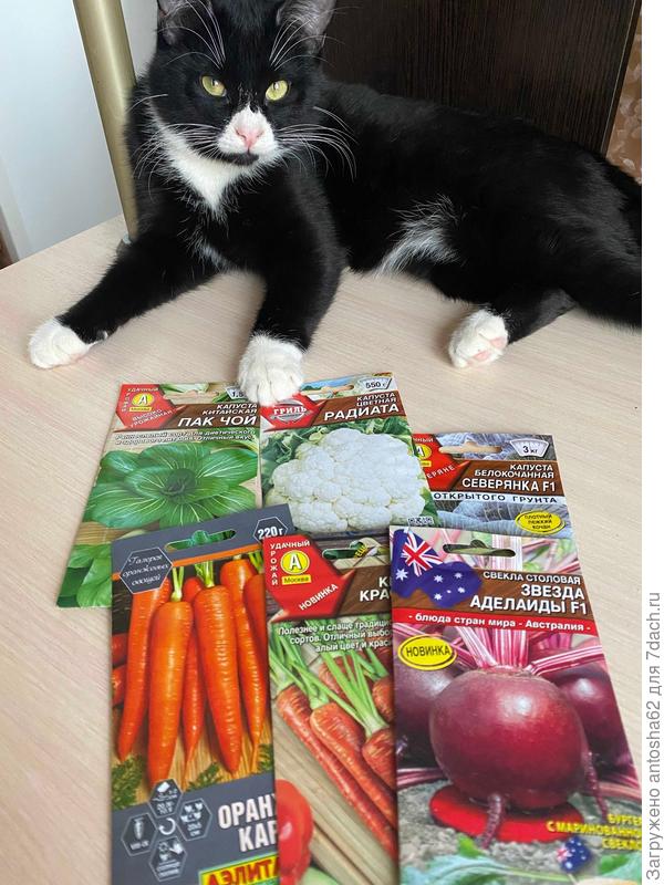 Другие овощи