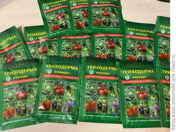 Триходерма