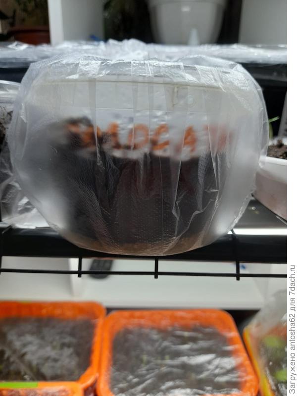 На этажерке