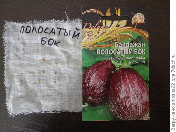 Взятые на тестирование