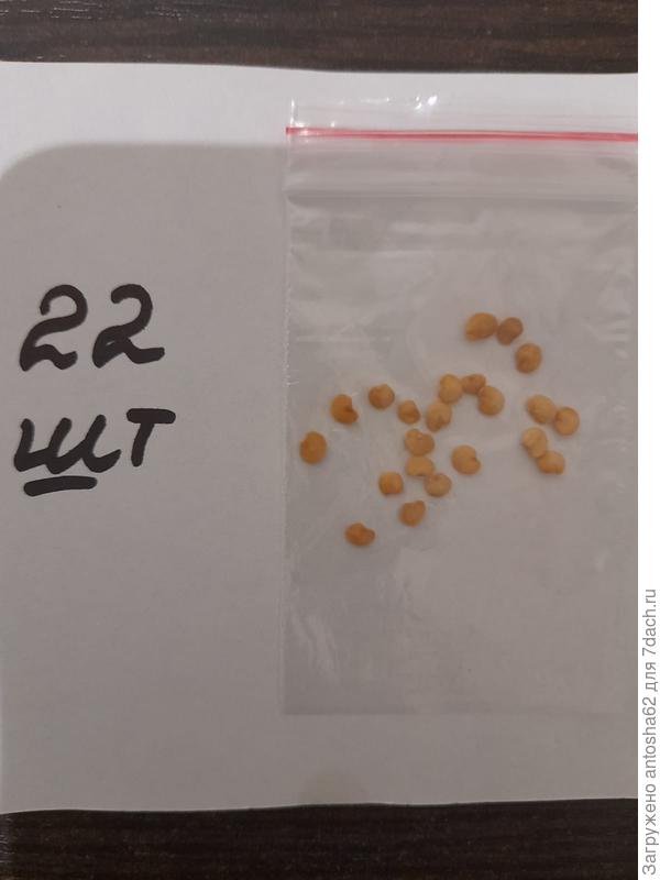 Общее количество