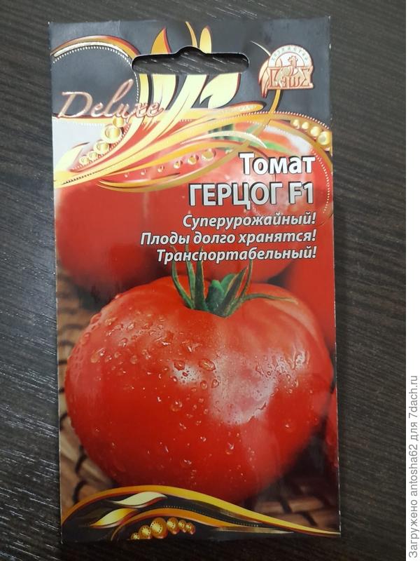 Что нас ожидает