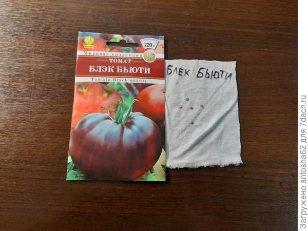 Блэк бьюти отобранные на тестирование семена