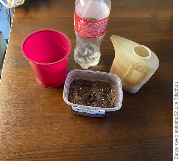 Добрыня посев