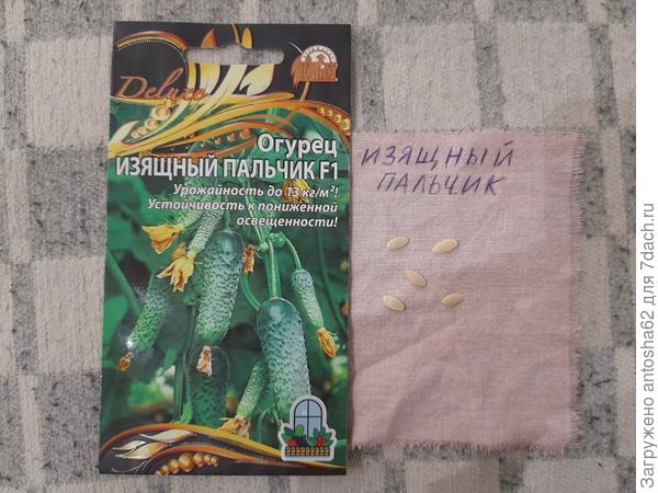 Отобранные на тестирование семена