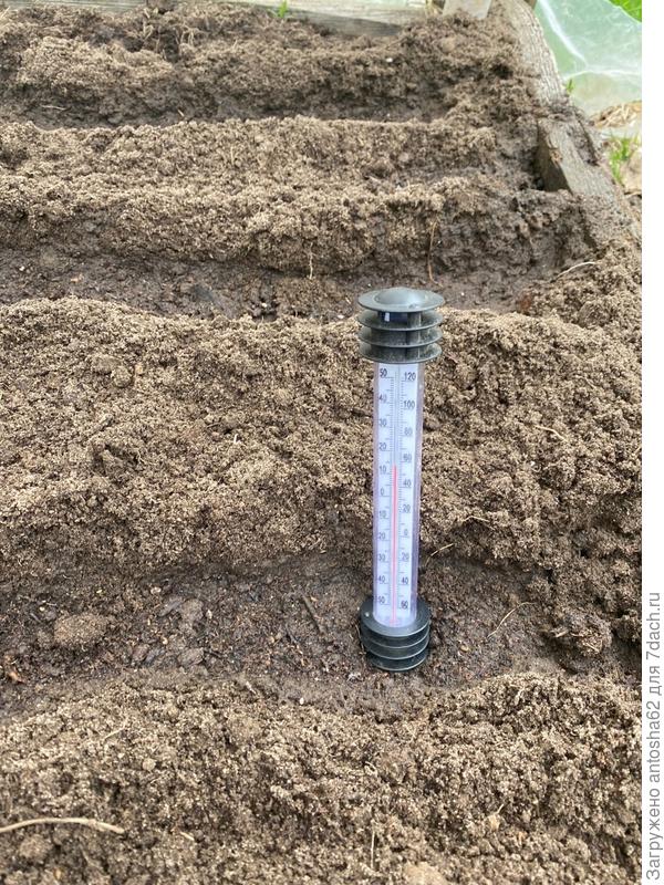 Практически 14 градусов