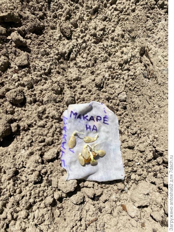 С клювиками