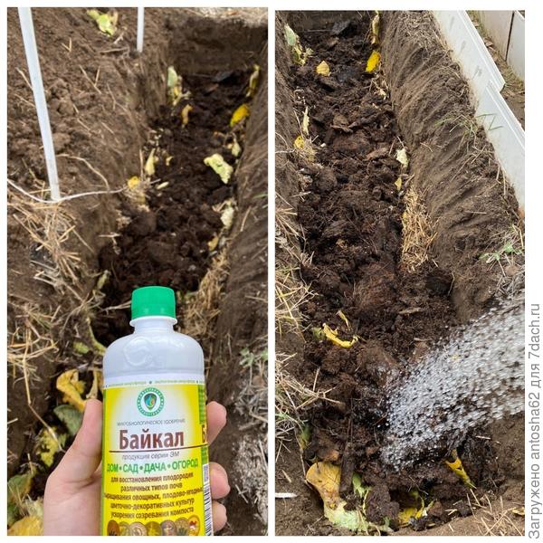 Следующее действие