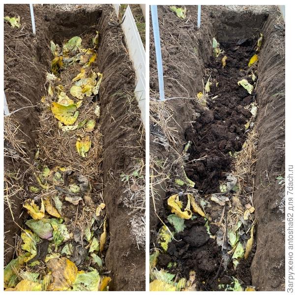 Теплая грядка