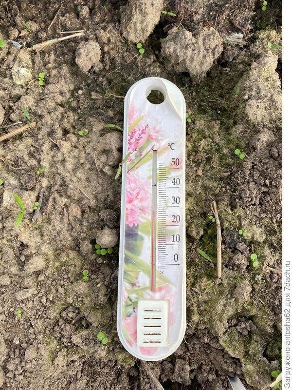 Измеряем температуру почву