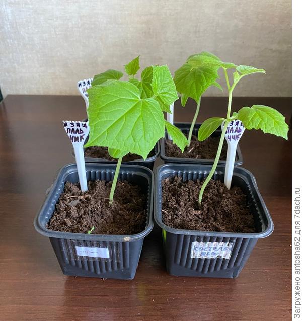 По состоянию на 12 мая