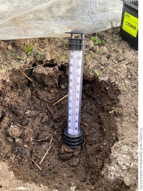 Измеряем температуры почвы