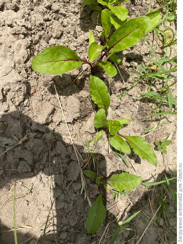 По состоянию на 4 июня