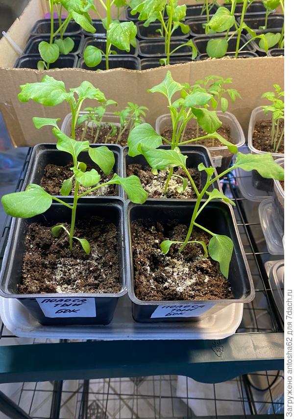 По состоянию на 31 мара