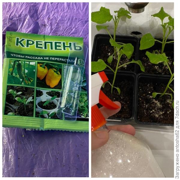 Применяем Крепень