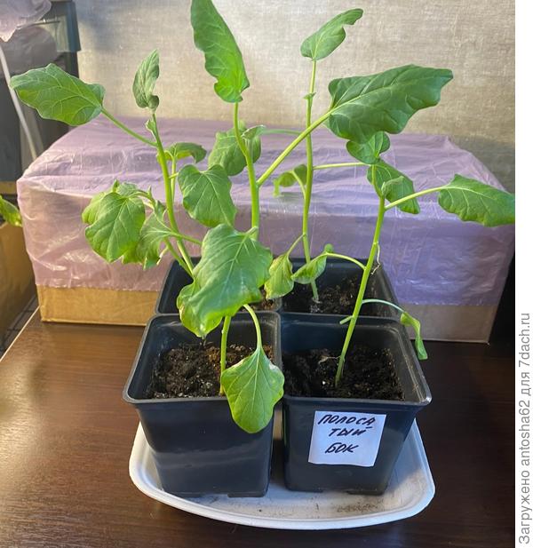 Промежуточные результаты