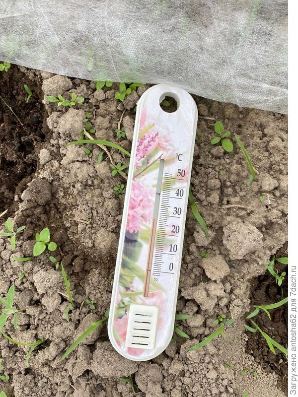 Измеряем температуру воздуха