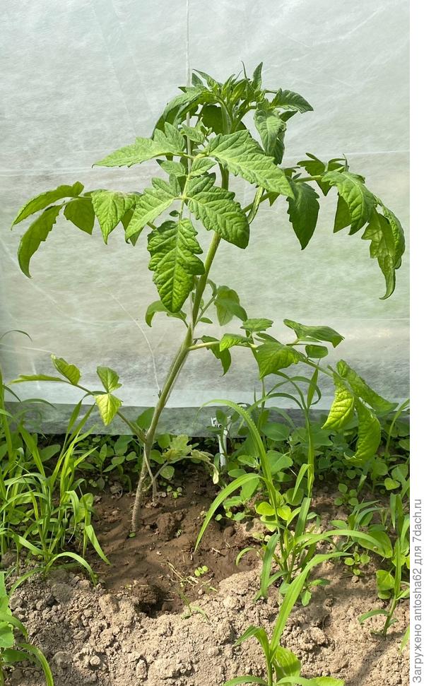 По состоянию на 28 мая