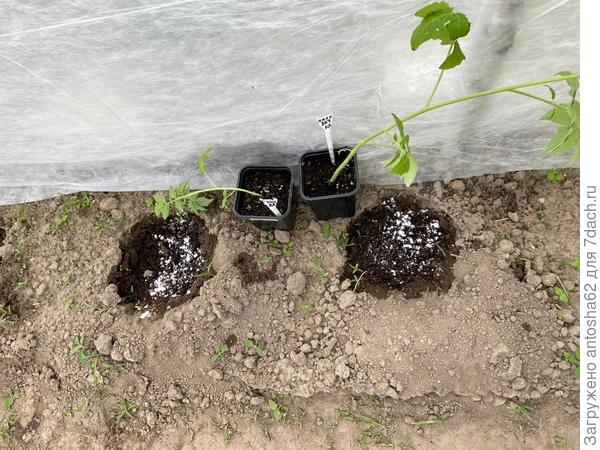 Миловичка + Атлант