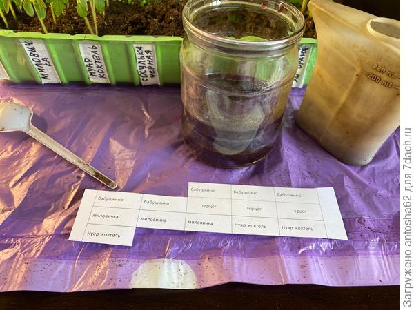 Каждый стаканчик будет иметь свой указатель