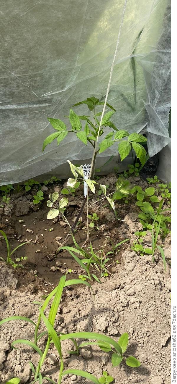 По состоянию на 28 мая