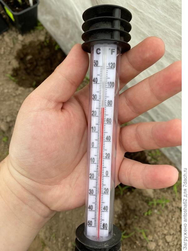 Измеряем температуру почвы