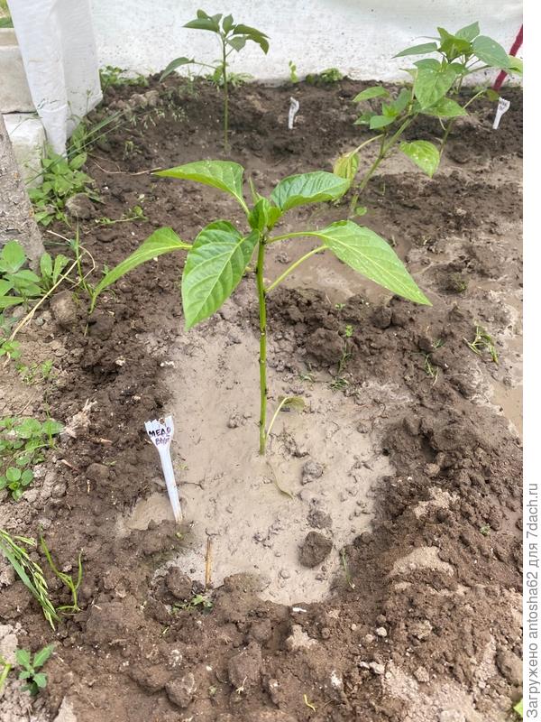 К моменту окончания этапа тестирования