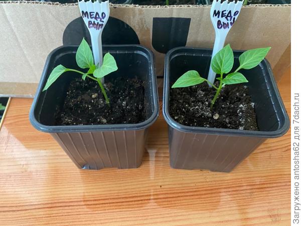 По состоянию на 21 апреля