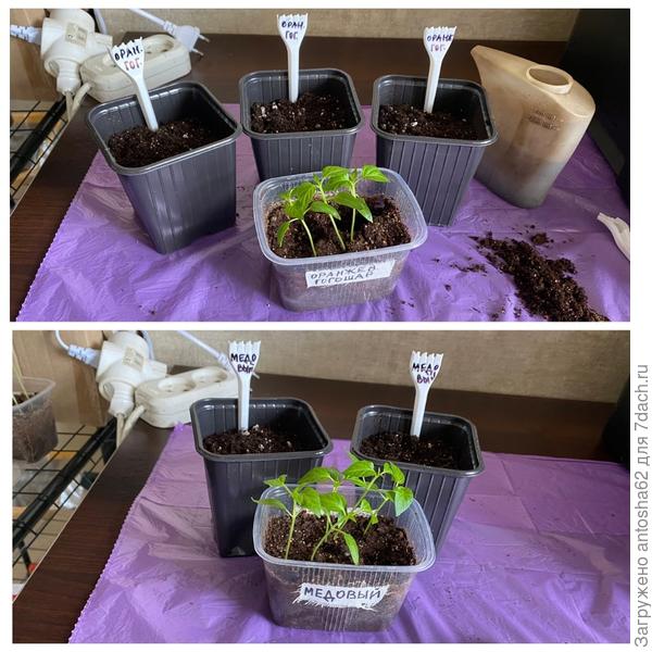 Подготовительные действия