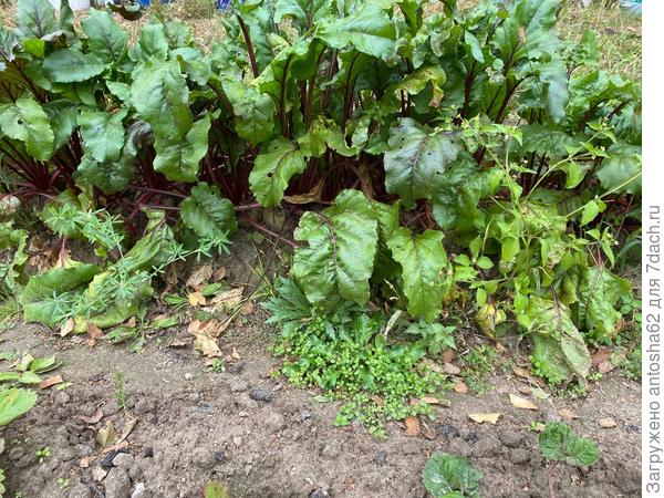 К моменту окончания этапа тестирования