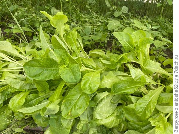 К моменту удаления