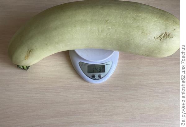 Взвешивание урожая