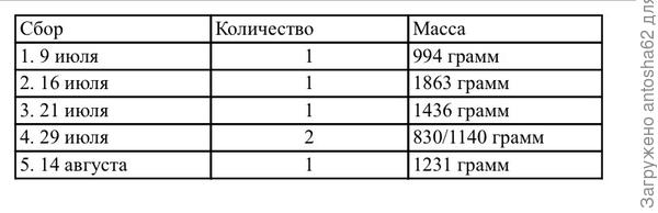 Вот такие скромные результаты
