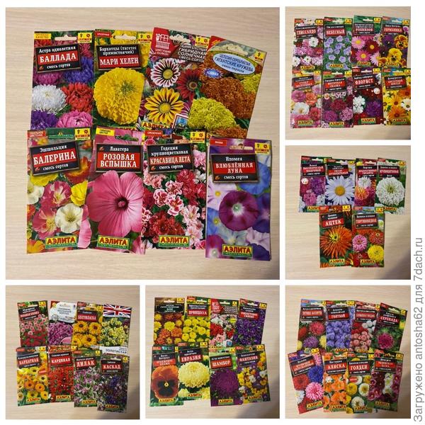 Остальные цветы