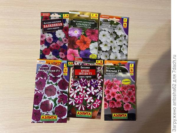 Самые разнообразные