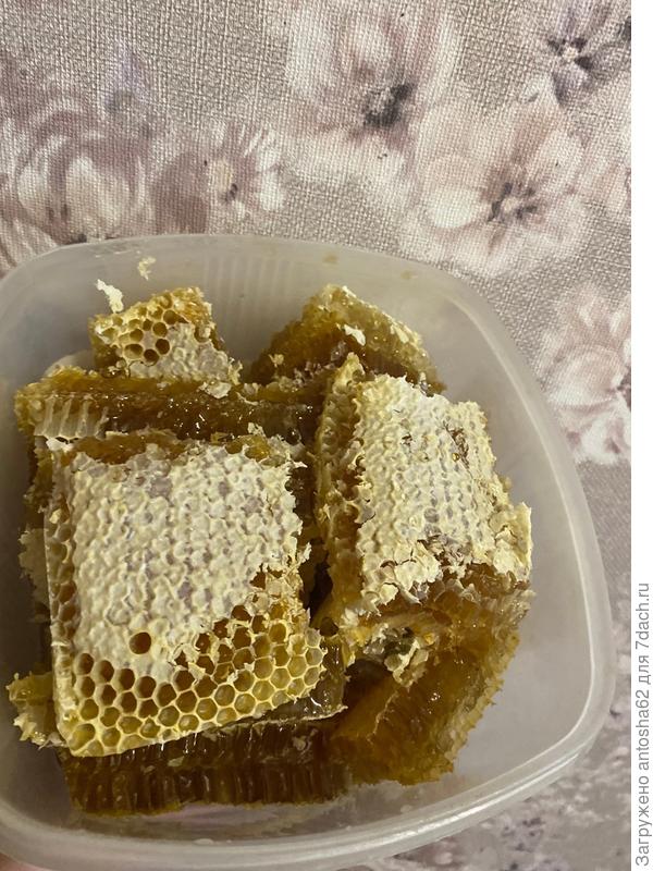 А вот это первый мед