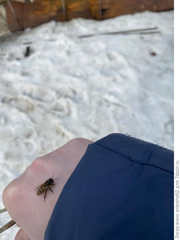 Первый облет