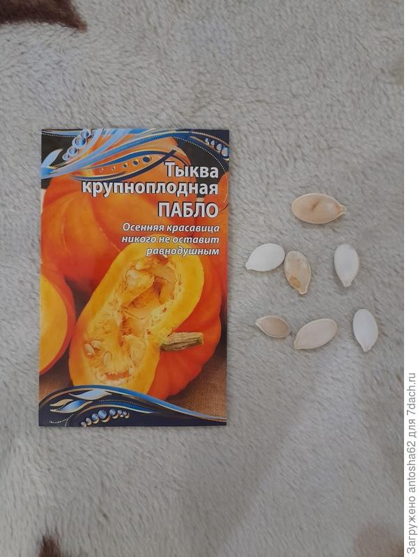 Общее количество семян