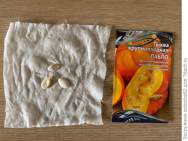 Отобранные семена