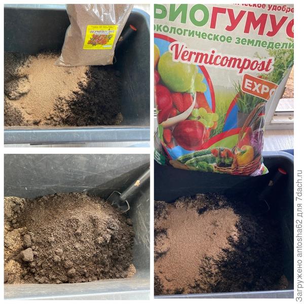 Процесс приготовления