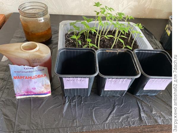 Подготовительный процесс