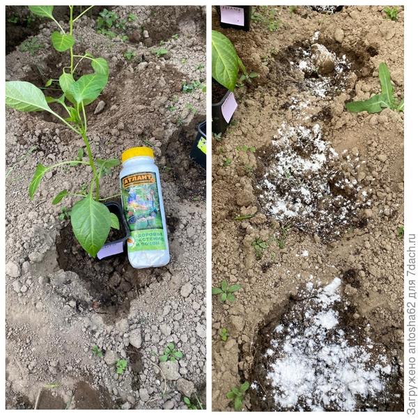 Атлант добавлялся в сделанные лунки