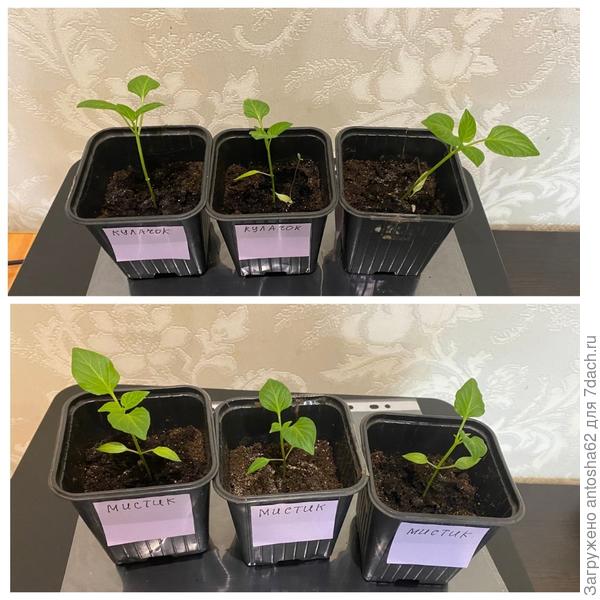 После адаптации