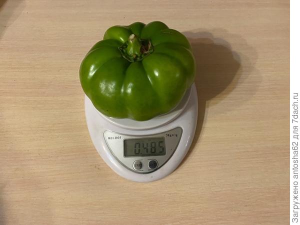 Взвешивание