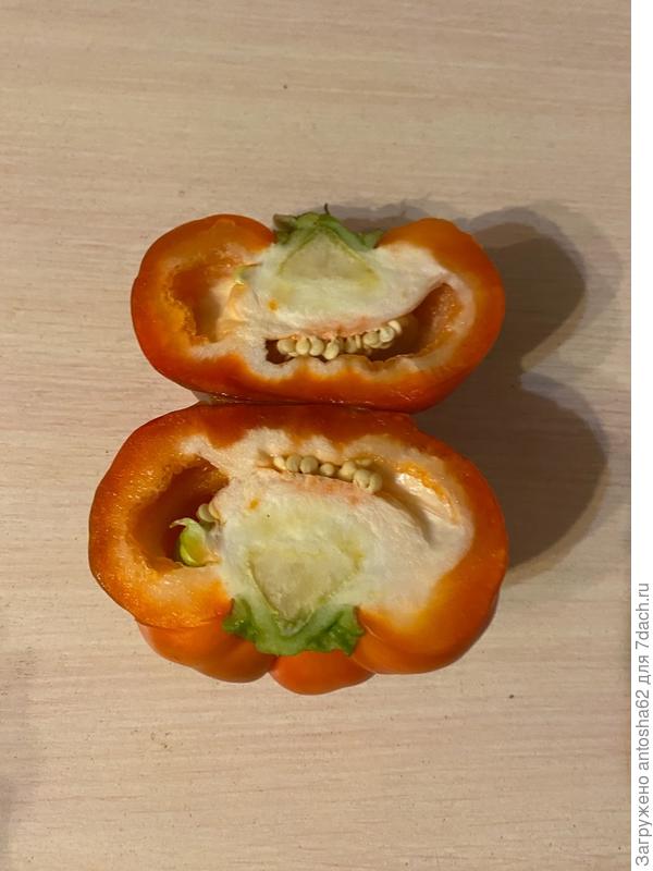 Фото в разрезе